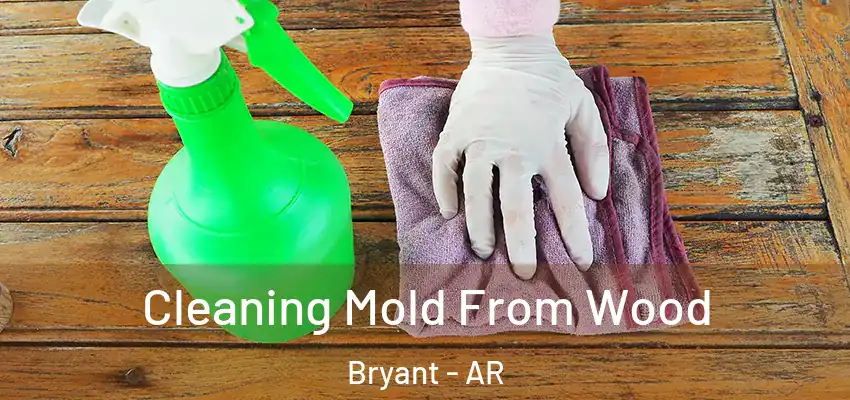 Cleaning Mold From Wood Bryant - AR