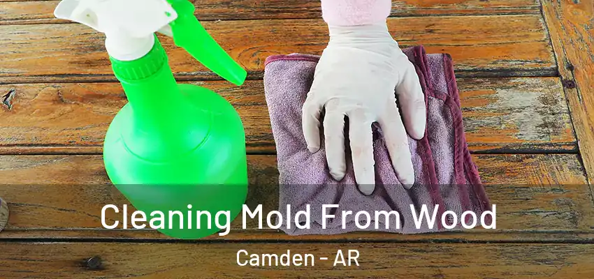  Cleaning Mold From Wood Camden - AR