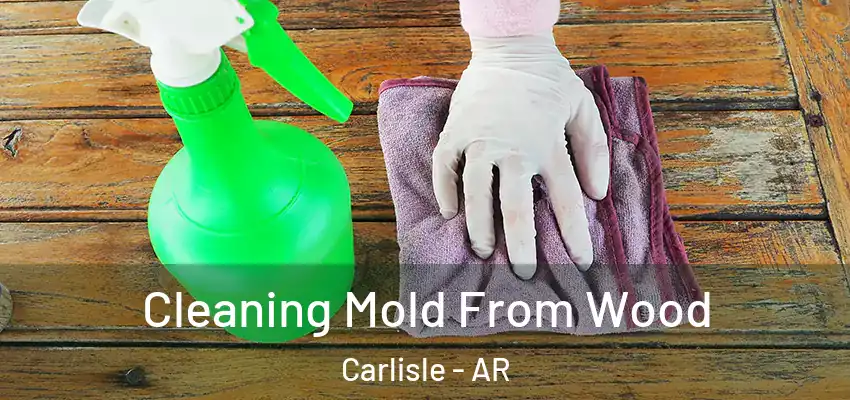  Cleaning Mold From Wood Carlisle - AR
