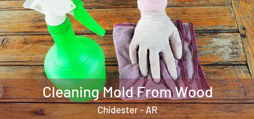 Cleaning Mold From Wood Chidester - AR