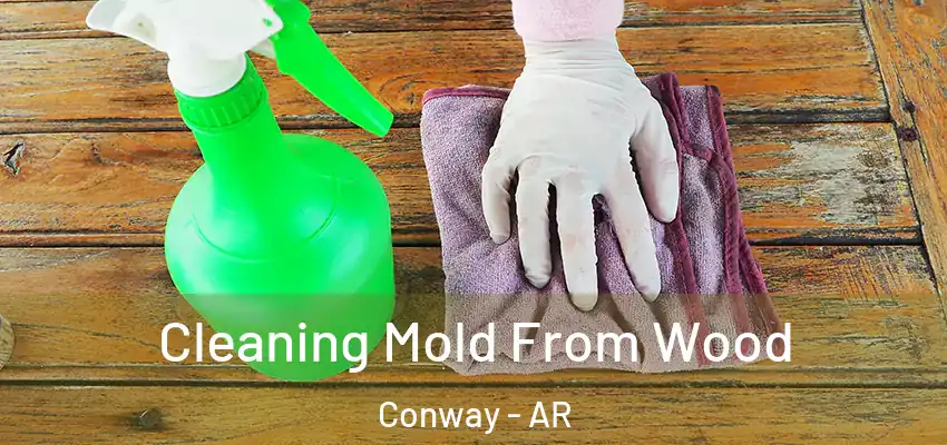  Cleaning Mold From Wood Conway - AR