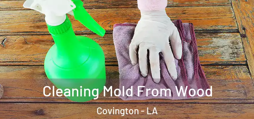  Cleaning Mold From Wood Covington - LA