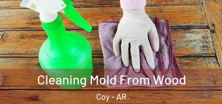 Cleaning Mold From Wood Coy - AR