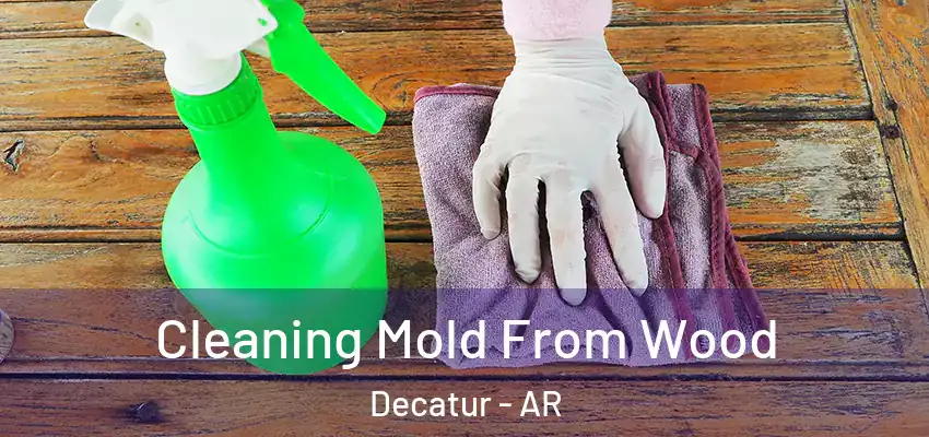 Cleaning Mold From Wood Decatur - AR