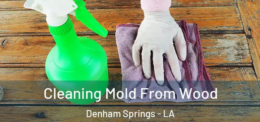  Cleaning Mold From Wood Denham Springs - LA