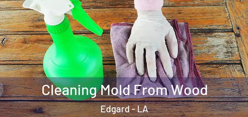  Cleaning Mold From Wood Edgard - LA
