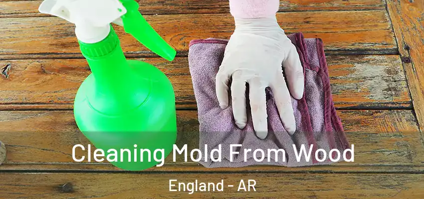 Cleaning Mold From Wood England - AR