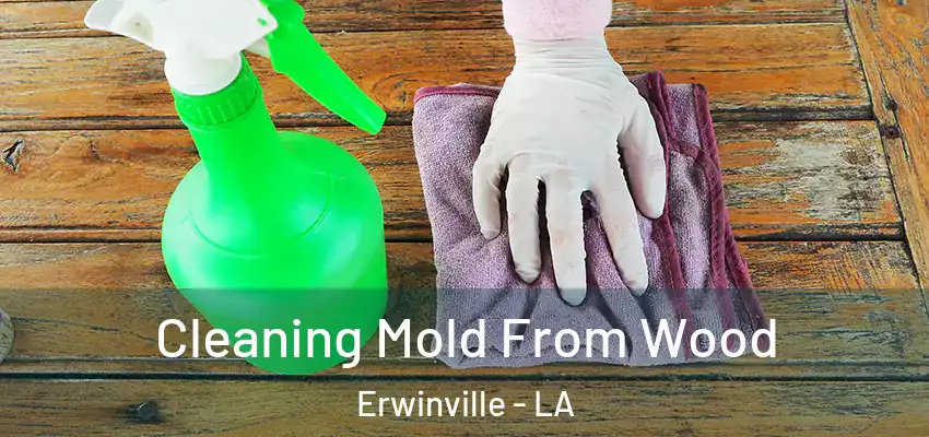  Cleaning Mold From Wood Erwinville - LA