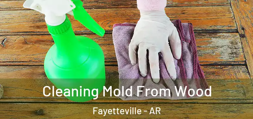  Cleaning Mold From Wood Fayetteville - AR