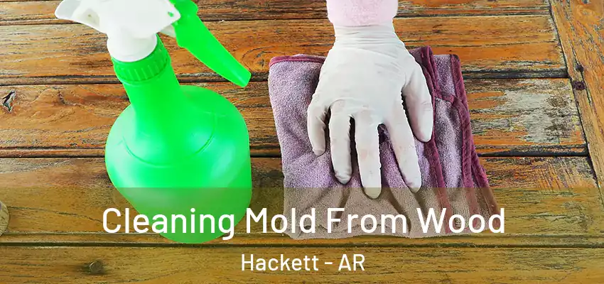  Cleaning Mold From Wood Hackett - AR