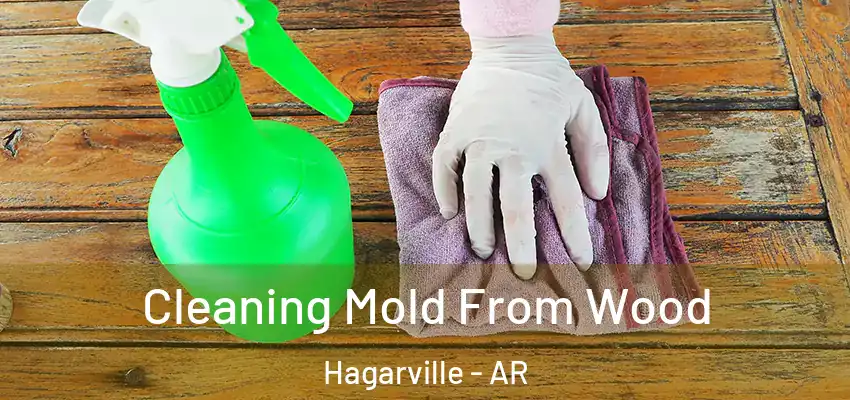  Cleaning Mold From Wood Hagarville - AR