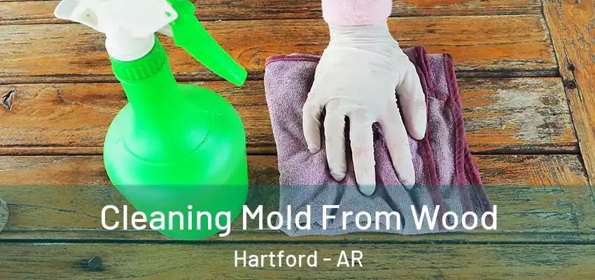  Cleaning Mold From Wood Hartford - AR