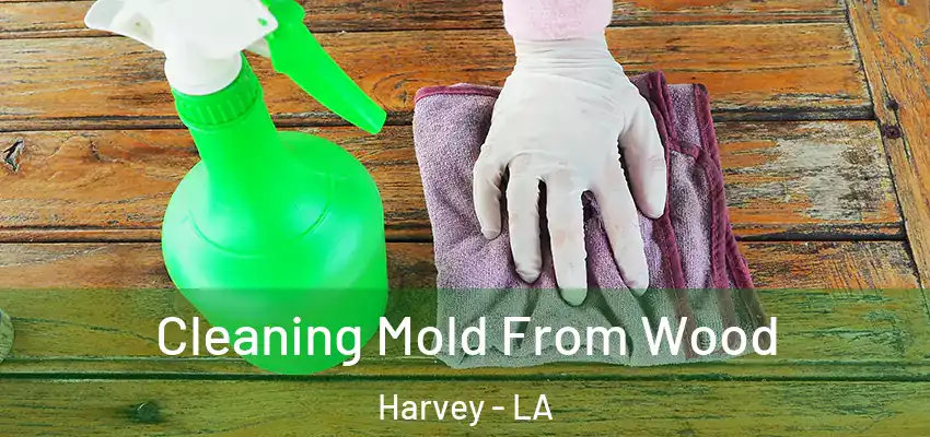  Cleaning Mold From Wood Harvey - LA