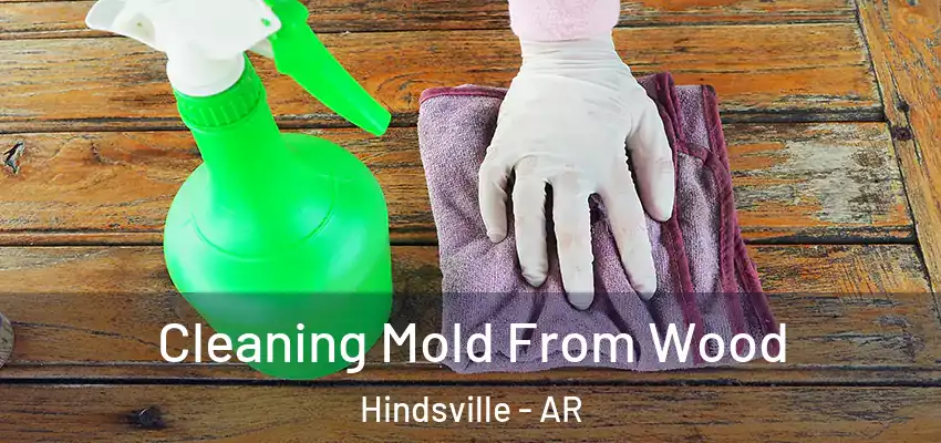 Cleaning Mold From Wood Hindsville - AR