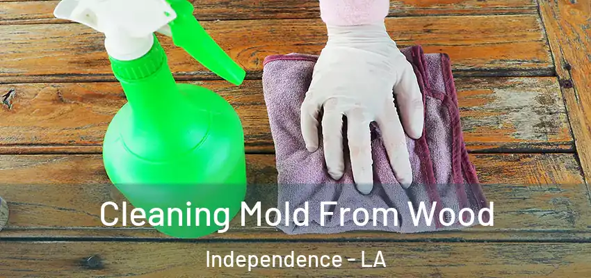  Cleaning Mold From Wood Independence - LA