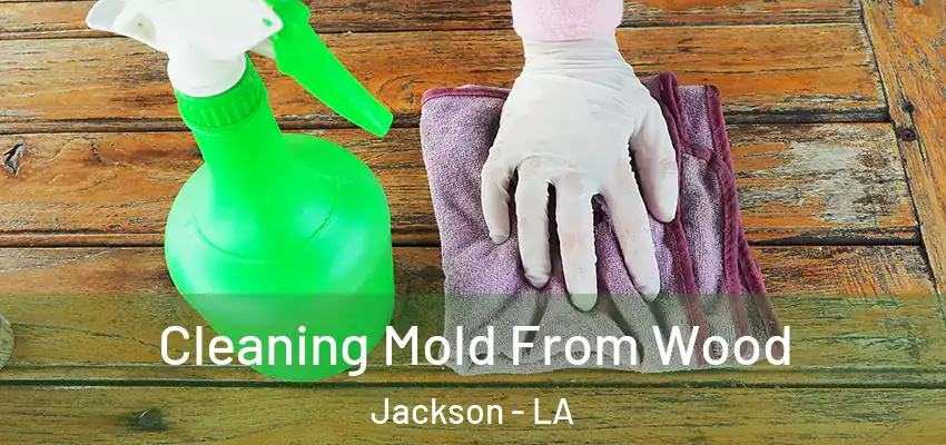  Cleaning Mold From Wood Jackson - LA