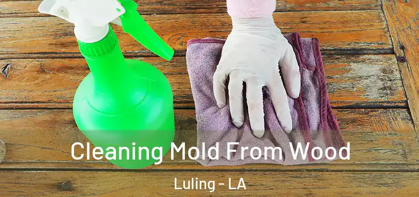  Cleaning Mold From Wood Luling - LA