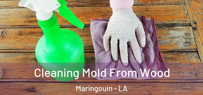  Cleaning Mold From Wood Maringouin - LA