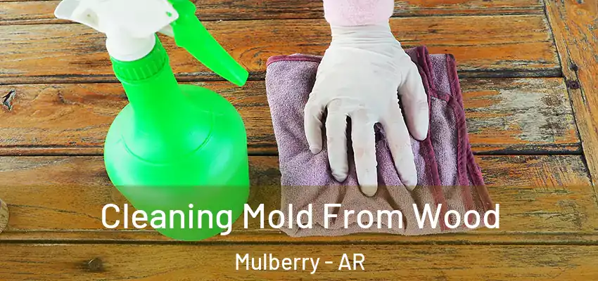  Cleaning Mold From Wood Mulberry - AR