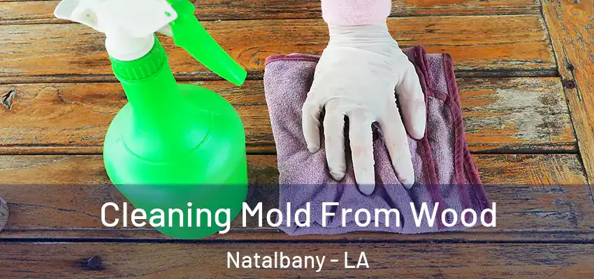  Cleaning Mold From Wood Natalbany - LA