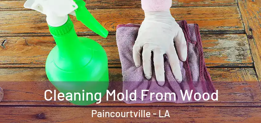  Cleaning Mold From Wood Paincourtville - LA