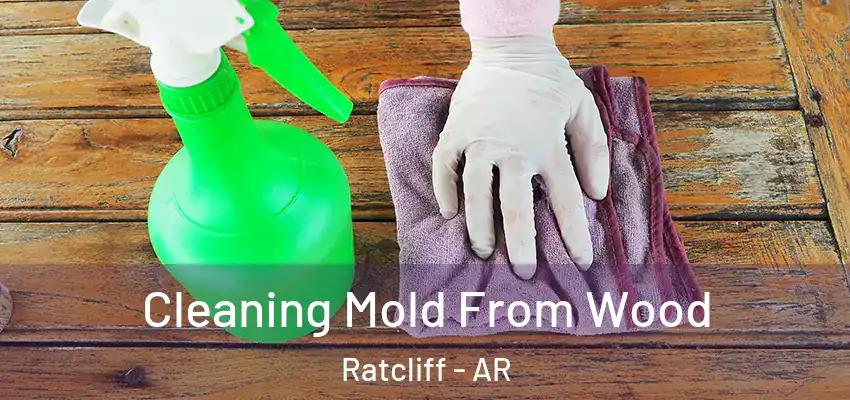  Cleaning Mold From Wood Ratcliff - AR