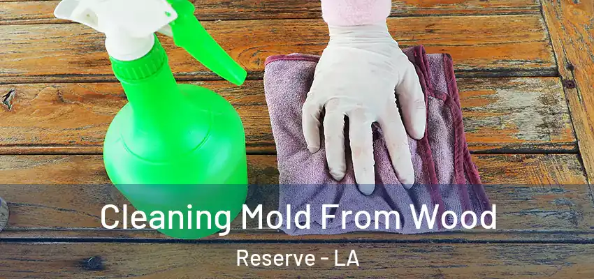  Cleaning Mold From Wood Reserve - LA