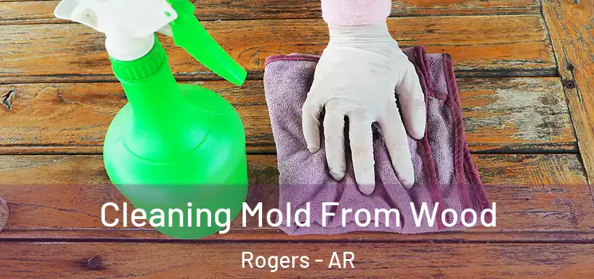  Cleaning Mold From Wood Rogers - AR