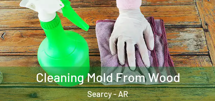  Cleaning Mold From Wood Searcy - AR