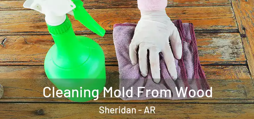  Cleaning Mold From Wood Sheridan - AR