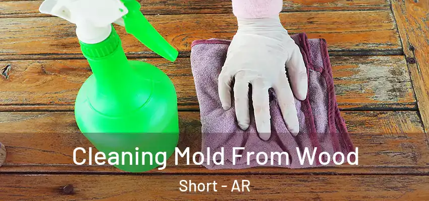  Cleaning Mold From Wood Short - AR