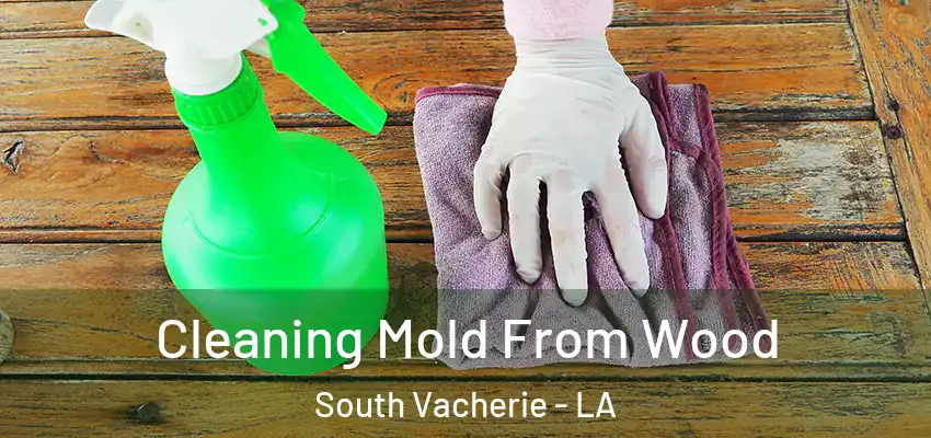  Cleaning Mold From Wood South Vacherie - LA