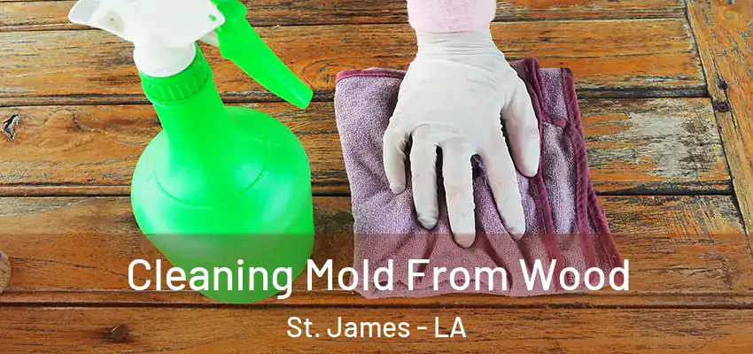  Cleaning Mold From Wood St. James - LA