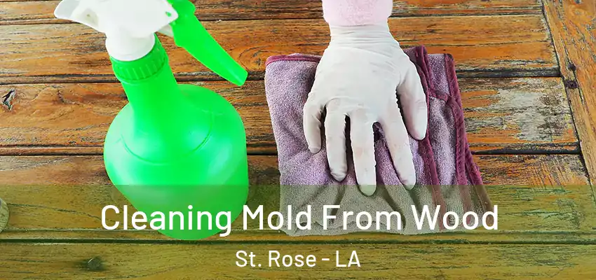  Cleaning Mold From Wood St. Rose - LA