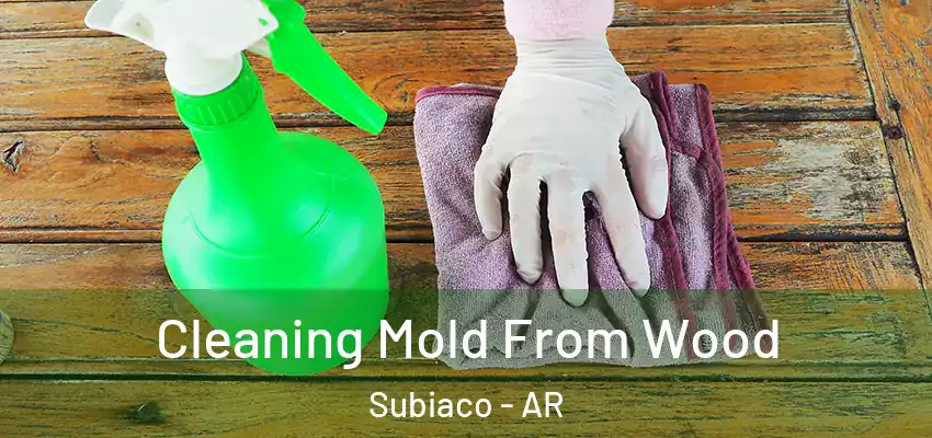  Cleaning Mold From Wood Subiaco - AR