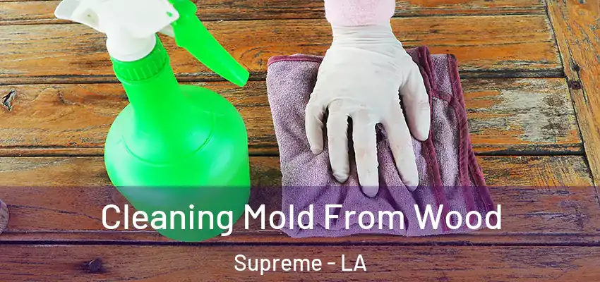  Cleaning Mold From Wood Supreme - LA