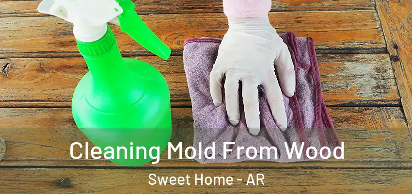  Cleaning Mold From Wood Sweet Home - AR