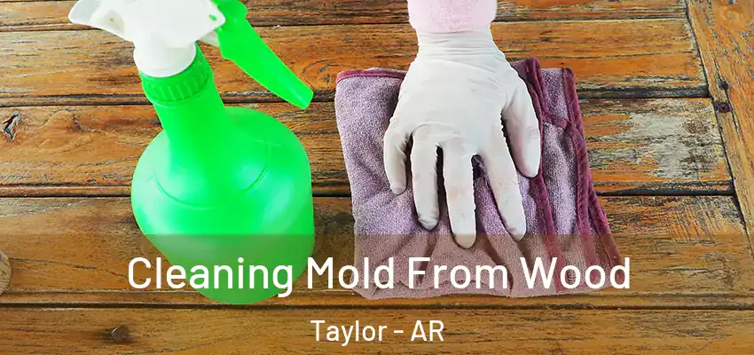  Cleaning Mold From Wood Taylor - AR