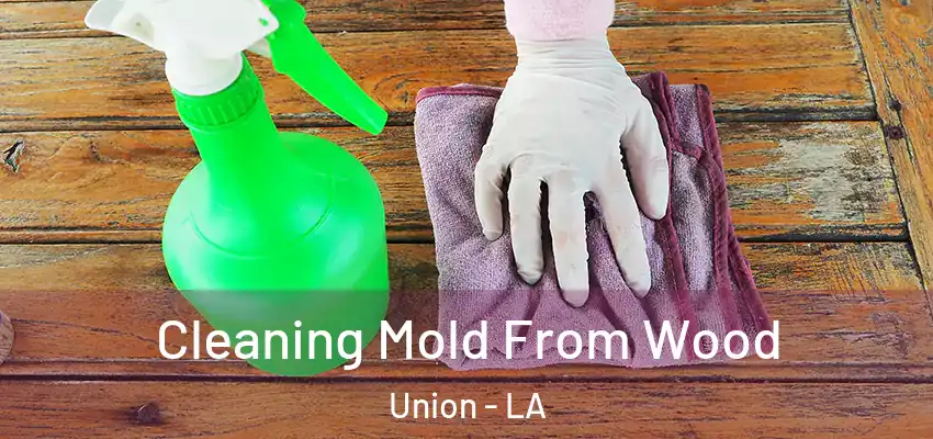  Cleaning Mold From Wood Union - LA