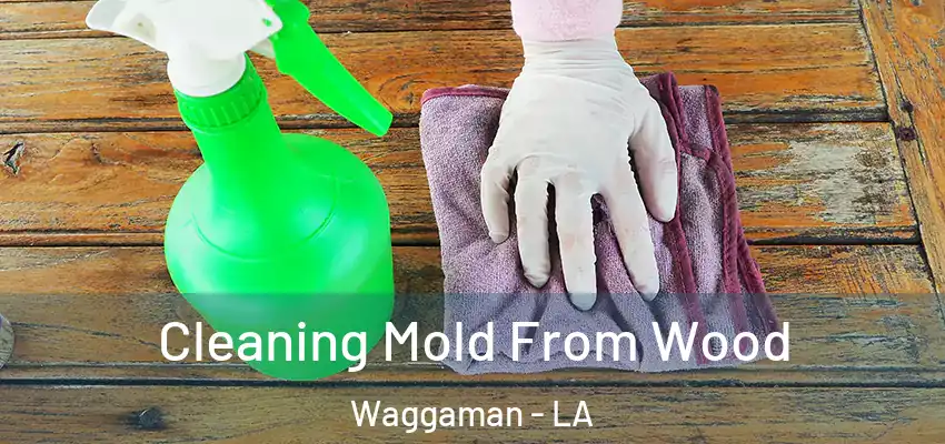  Cleaning Mold From Wood Waggaman - LA