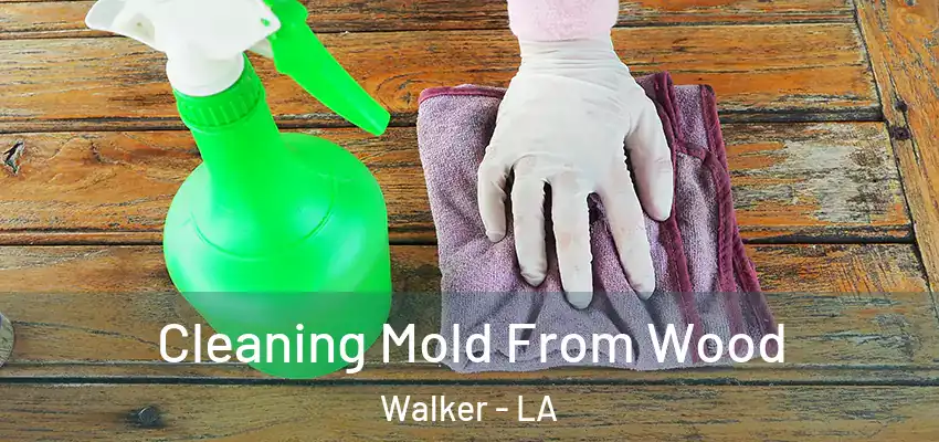  Cleaning Mold From Wood Walker - LA