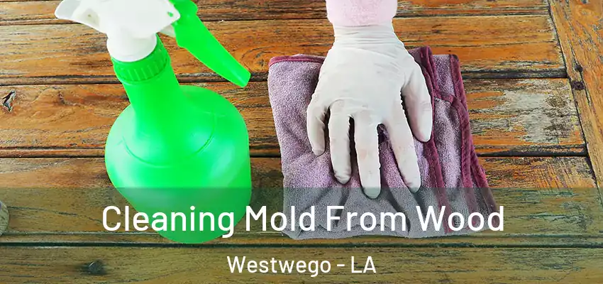  Cleaning Mold From Wood Westwego - LA