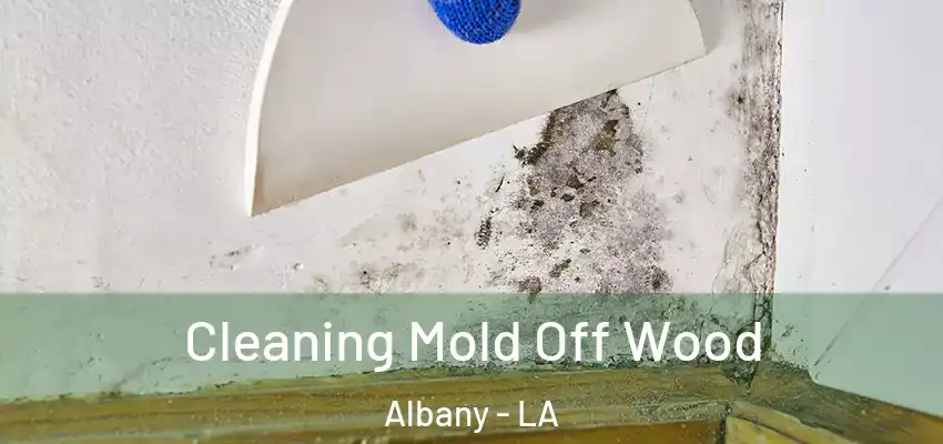  Cleaning Mold Off Wood Albany - LA