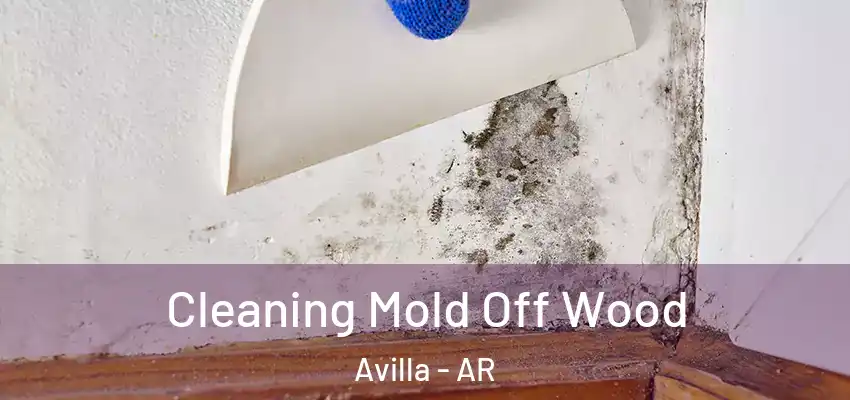  Cleaning Mold Off Wood Avilla - AR