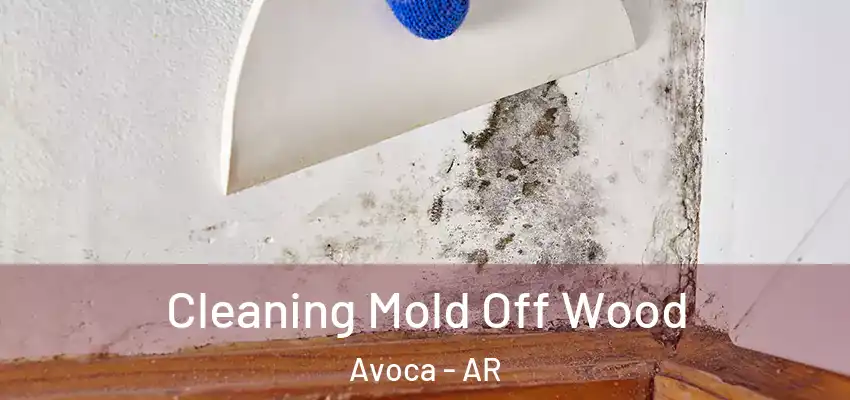  Cleaning Mold Off Wood Avoca - AR