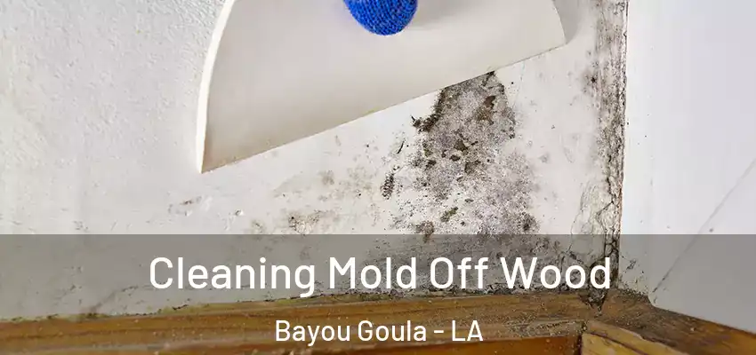  Cleaning Mold Off Wood Bayou Goula - LA