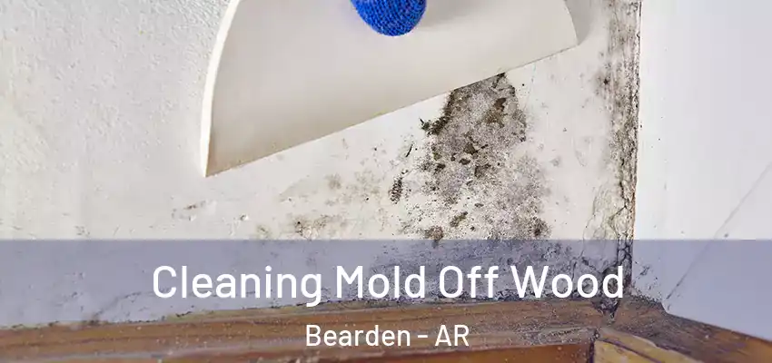  Cleaning Mold Off Wood Bearden - AR