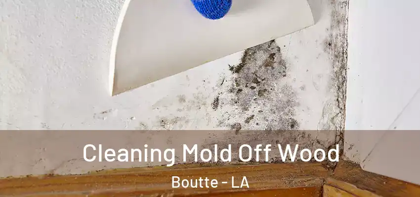  Cleaning Mold Off Wood Boutte - LA