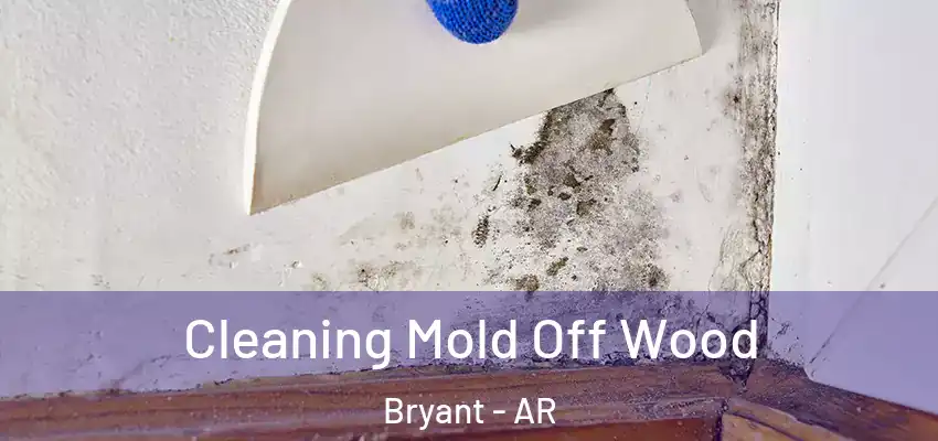  Cleaning Mold Off Wood Bryant - AR