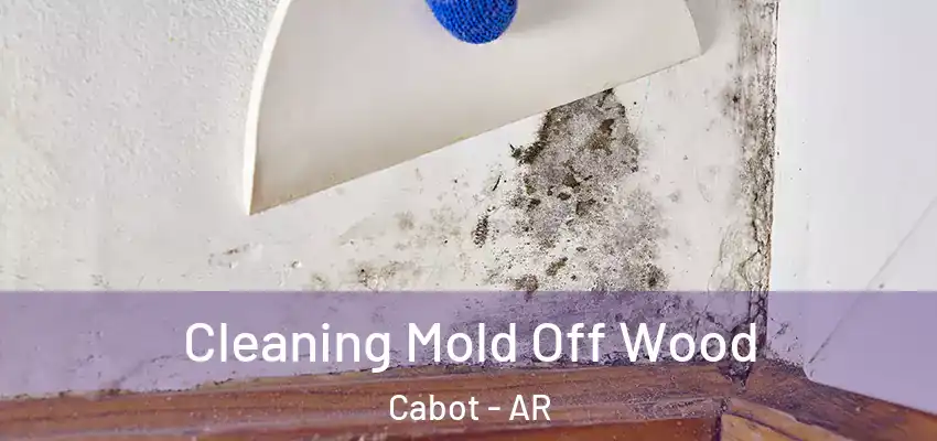  Cleaning Mold Off Wood Cabot - AR